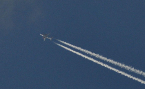 darmowy hosting obrazków