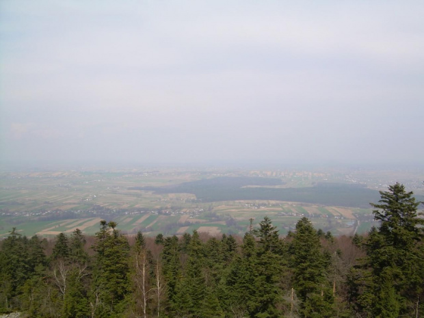 Widok z Łysej Góry 595 m.n.p.m #widok #horyzont #ŁysaGóra