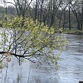 PZK #pzk #zdjęcie #tapeta #wiosna #rzeka #wieś #praski