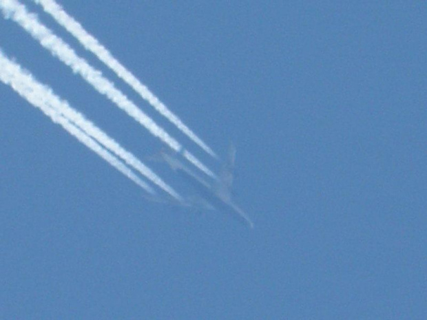 #samolot #niebo #niebieskie
