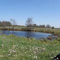 wiosna #wiosna #łąka #wiosenna #zawody #jezioro #woda #tapety