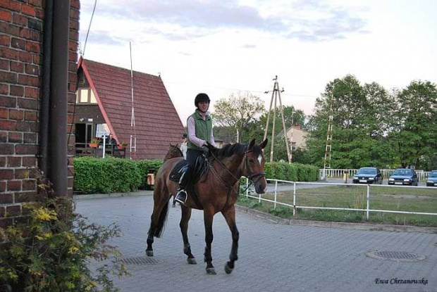 2009.05.13 Stodoły Cykada, Alaryk, Igor