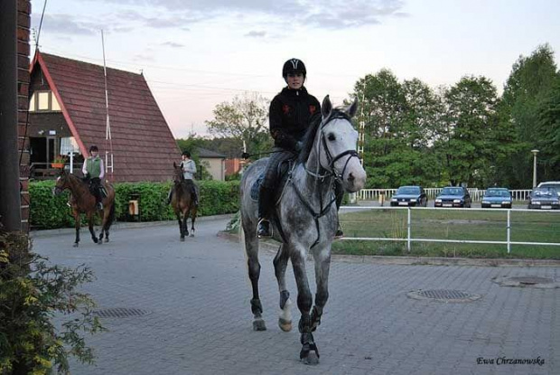 2009.05.13 Stodoły Cykada, Alaryk, Igor