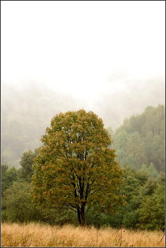 Bieszczady