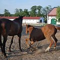 2009.05.21 Trening w Stodołach