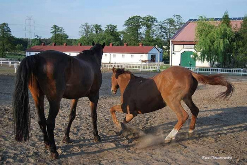 2009.05.21 Trening w Stodołach