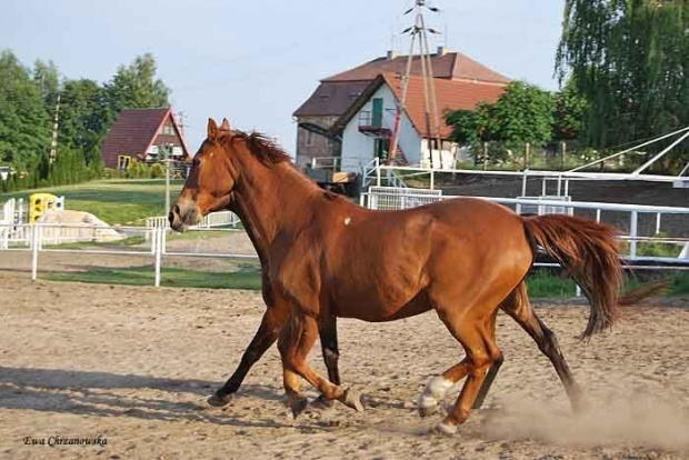 2009.05.21 Trening w Stodołach