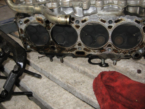 s13