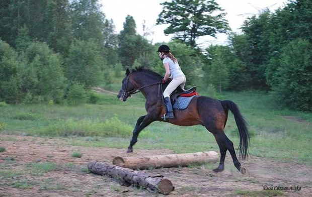 2009.06.03 Stodoły, nowa trasa