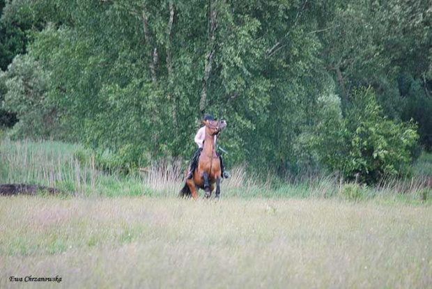 2009.06.03 Stodoły, nowa trasa