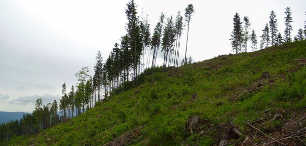 Beskid Śląski2