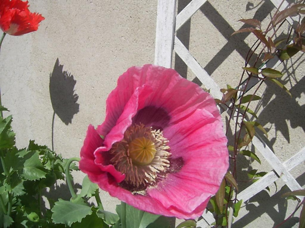 czerwiec 2009