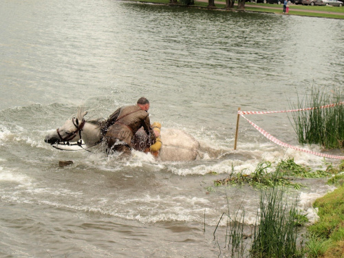 IX Piknik Kawaleryjski w Suwałkach #konie #PiknikKawaleryjski #Suwałki #kawaleria