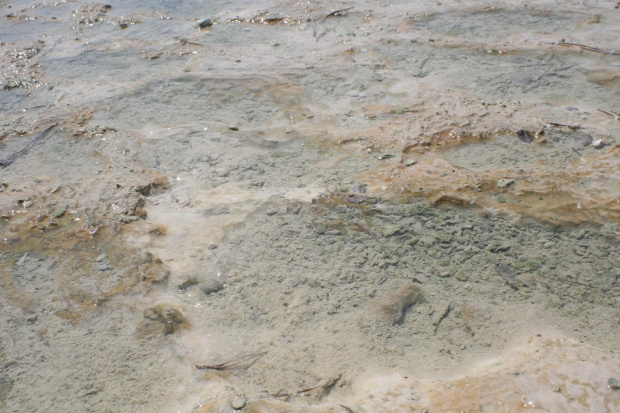 Pamukkale - tarasy wapienne, ścieżka południowa