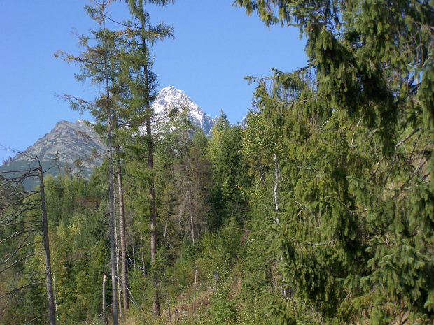 Lomnicki Stit, Skalnate Pleso