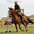 IX Piknik Kawaleryjski w Suwałkach #kawaleria #PiknikKawaleryjski #Suwałki #konie