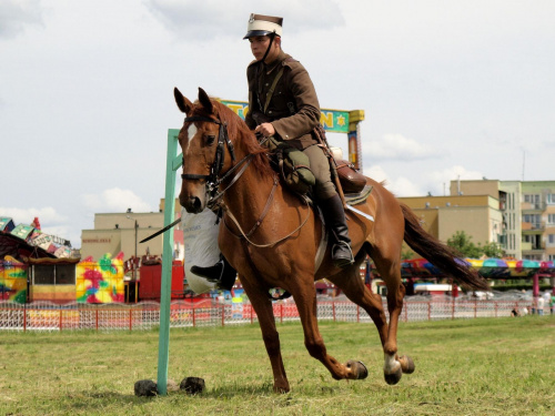 IX Piknik Kawaleryjski w Suwałkach #kawaleria #PiknikKawaleryjski #Suwałki #konie