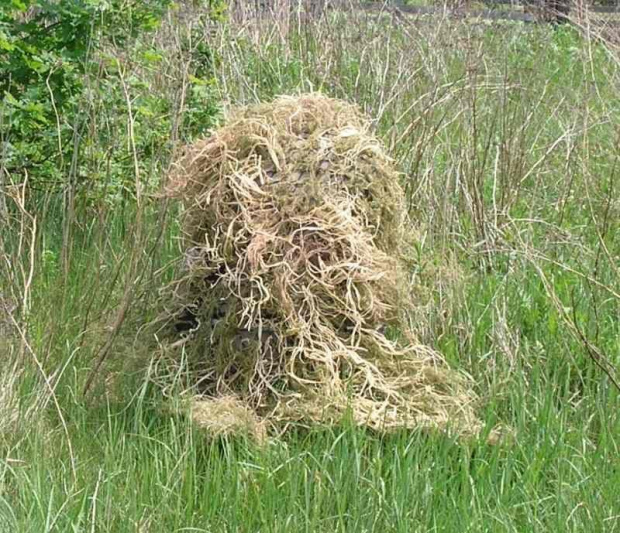 ghillie