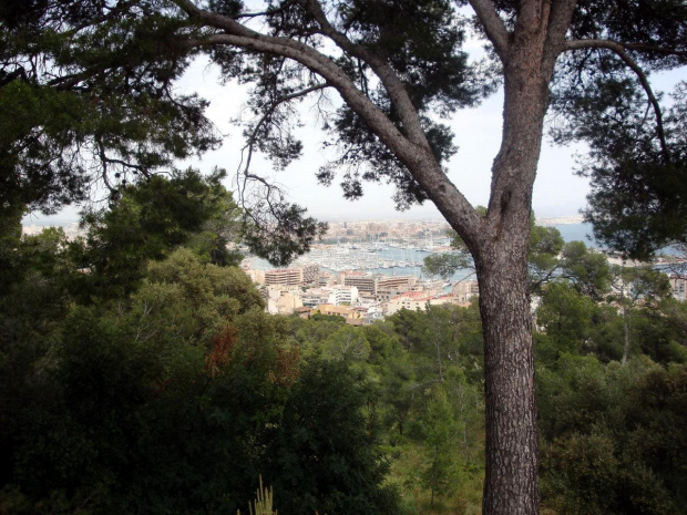 Palma de Mallorca - Castell de Bellver, wzgórze zamkowe z pięknym widokiem na port w Palmie #Majorka #PalmaDeMallorca #CastellDeBellver