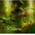 Tomasz Maroński #TomaszMaroński #Tarot