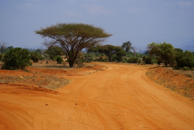 Tsavo East