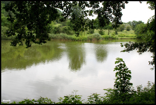 W poznańskim zoo