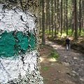 #Tatry #Zakopane