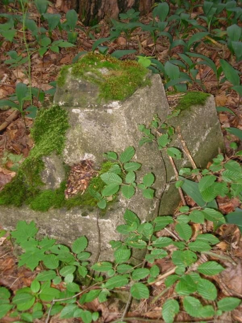 Bożęcin (warmińsko-mazurskie) dwór i cmentarz von Graeve