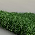 #grass #trawa #grafika