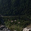 Pieniny #góry #Pieniny