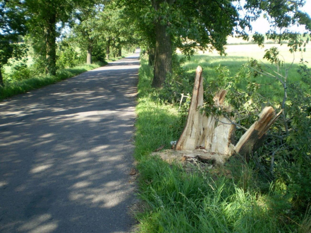 Talary i najbliższe okolice