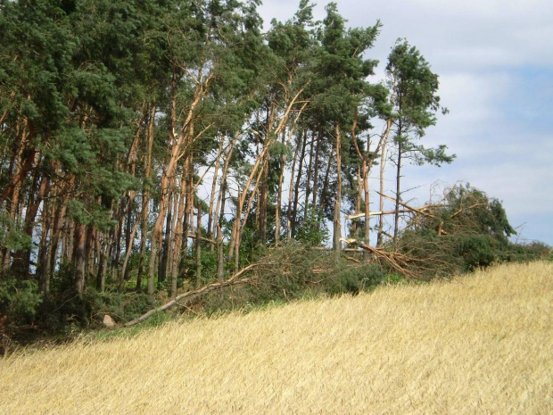 Między Strzelcami Wielkimi a Piaskami