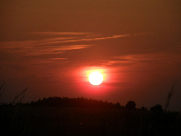 "Wiesz, gdy jest bardzo smutno to kocha się zachody słońca..."
/Mały Książę/ #SłońceZachód