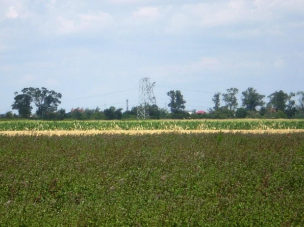 Strzelce Małe i najbliższe okolice po nawałnicy z 23 lipca ...