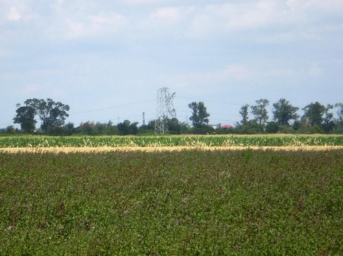 Strzelce Małe i najbliższe okolice po nawałnicy z 23 lipca ...