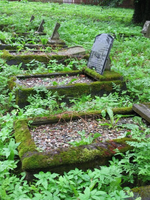 Fiszewo (warmińsko-mazurskie) - cmentarz mennonicki