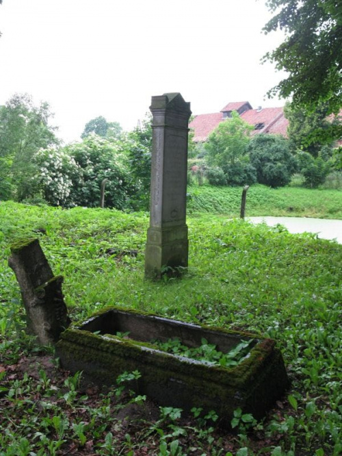 Fiszewo (warmińsko-mazurskie) - cmentarz mennonicki