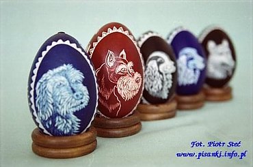 pieski #pisanki #jajka #OzdobyWielkanocne