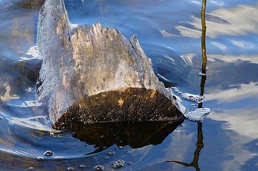 Impresje jesienne, odbicia w wodzie i kałużach #jesień #woda #jezioro #kałuże #liście #roślinki #drzewa