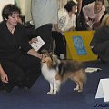 Światowa Wystawa Psów Rasowych Bratysława 2009