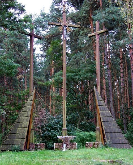 Trzy Krzyże #PuszczaKampinoska #TrzyKrzyże #GórkiKampinoskie #las