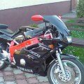 FZR 600