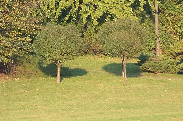 Naturalne boisko (z bramką)na E2012 #Warszawa