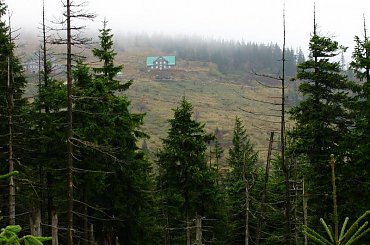 Schronisko Pod Łabskim Szczytem_1 #góry #Karkonosze #SzklarskaPoręba #Szrenica #widok #las #schronisko