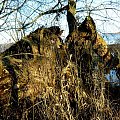 rózne foto #MAZURY