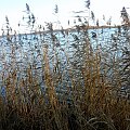 rózne foto #MAZURY