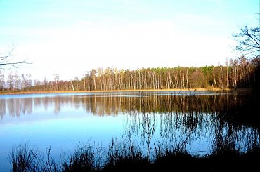 ODBICIA W WODZIE #ODBICIA