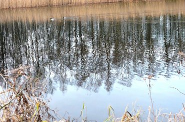 ODBICIA W WODZIE #ODBICIA