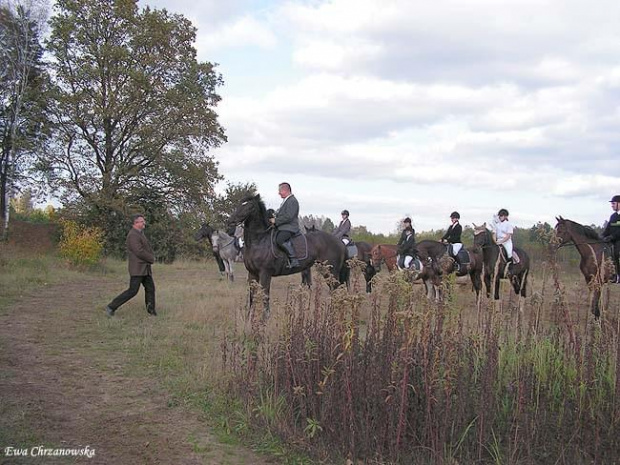 2008.10.18 Hubertus I