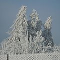 Mroźna zima. Małopolska Osiek/k Olkusza. Zdjęcia robione w pewien nudny dzień bez prądu.